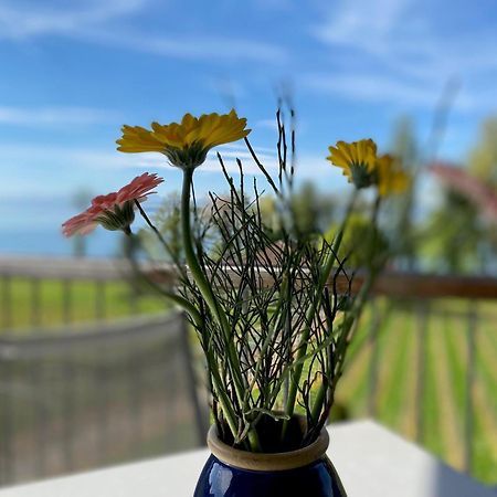Appartementhotel Röhrenbach Immenstaad am Bodensee Buitenkant foto