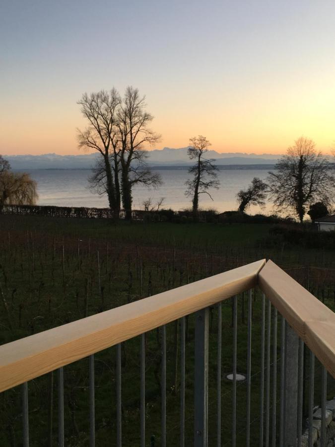 Appartementhotel Röhrenbach Immenstaad am Bodensee Buitenkant foto