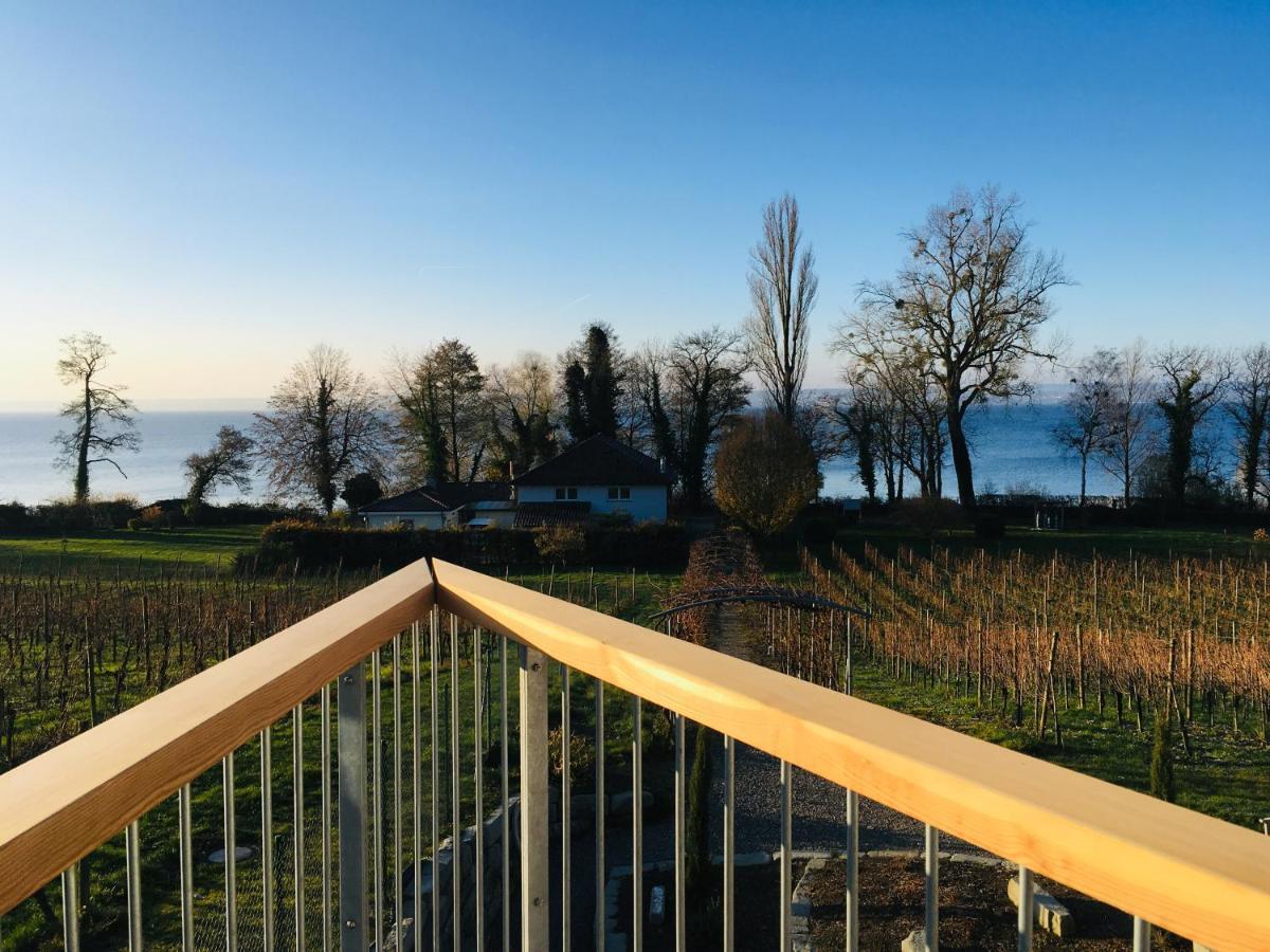 Appartementhotel Röhrenbach Immenstaad am Bodensee Buitenkant foto