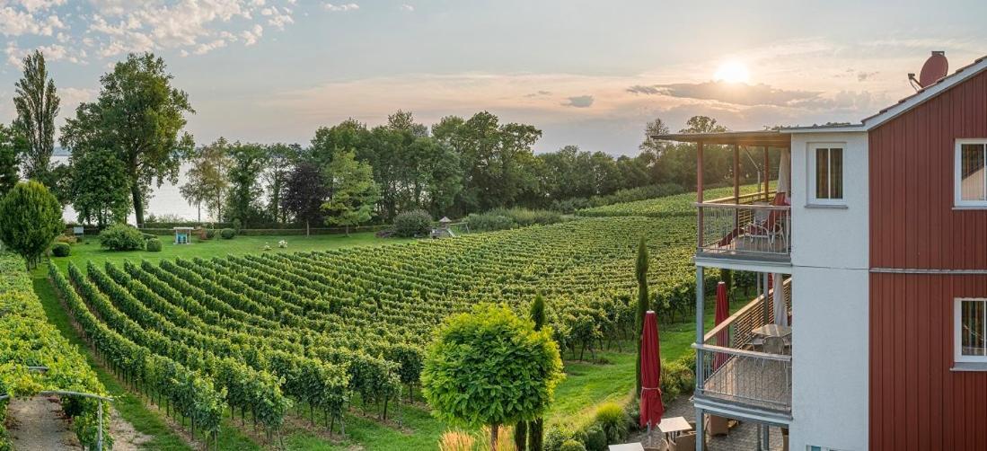 Appartementhotel Röhrenbach Immenstaad am Bodensee Buitenkant foto