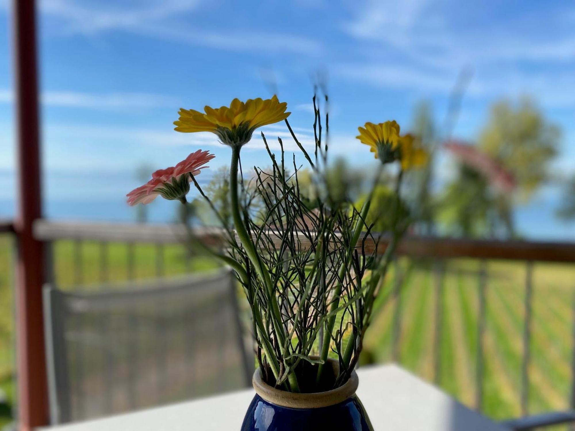 Appartementhotel Röhrenbach Immenstaad am Bodensee Buitenkant foto